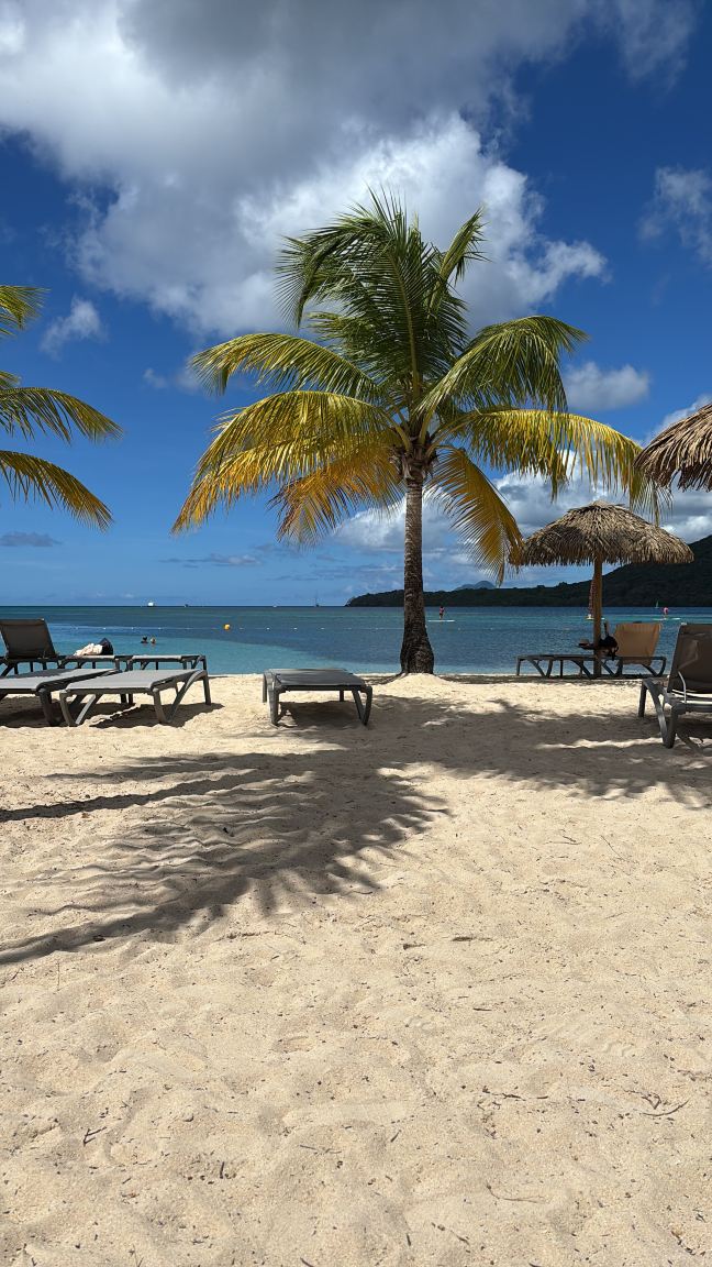 Club Med Les Boucaniers-旅行者
