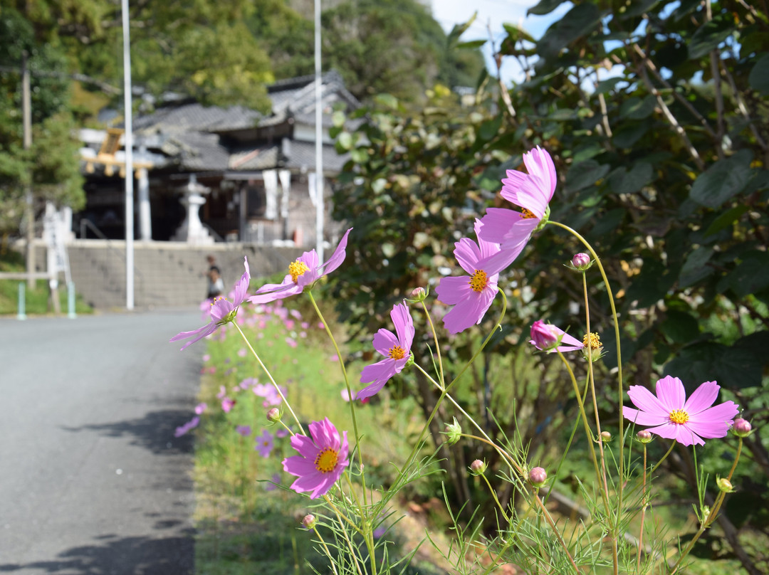 Kotonomama Hachimangu-挂川市必去景点