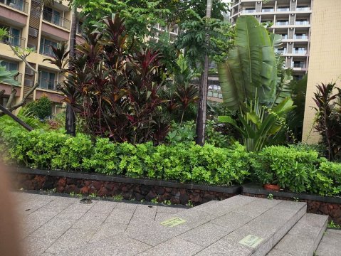 阳江山海湾假日酒店-官方