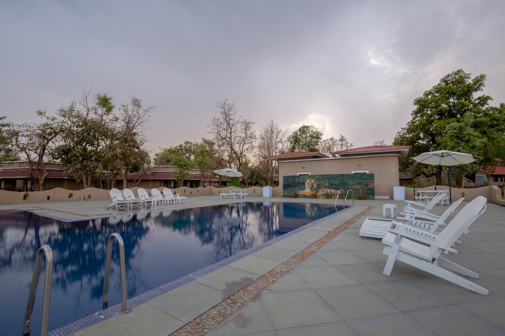 Bundela Bandhavgarh by Octave-官方