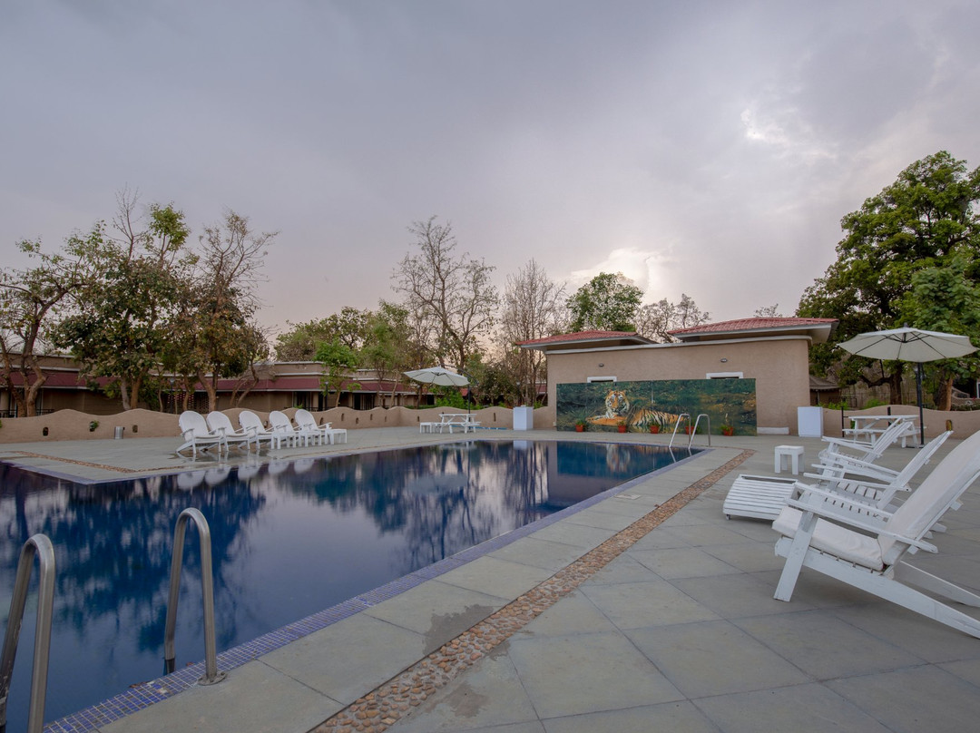 Bundela Bandhavgarh by Octave