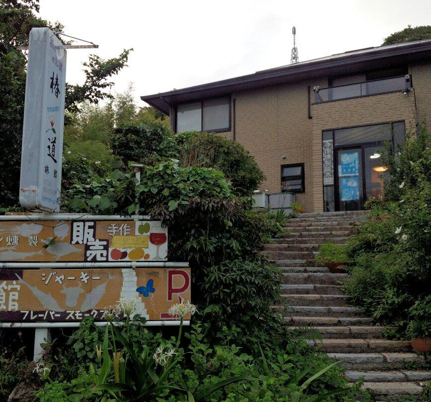 串本町酒店住宿-Tsubakido Ryokan