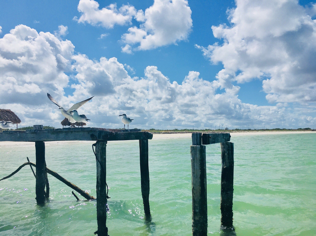 里奥拉加托斯酒店住宿-Posada Las Glorias