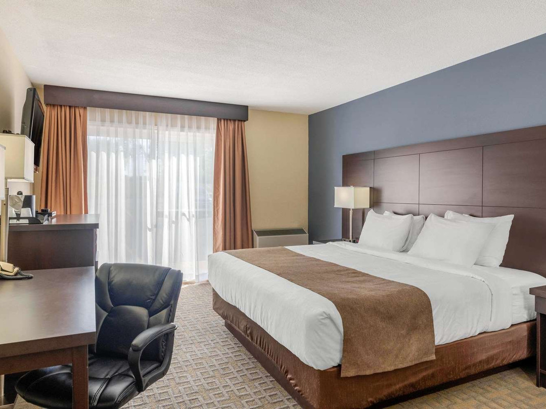 Quality Inn & Suites Bathurst主图