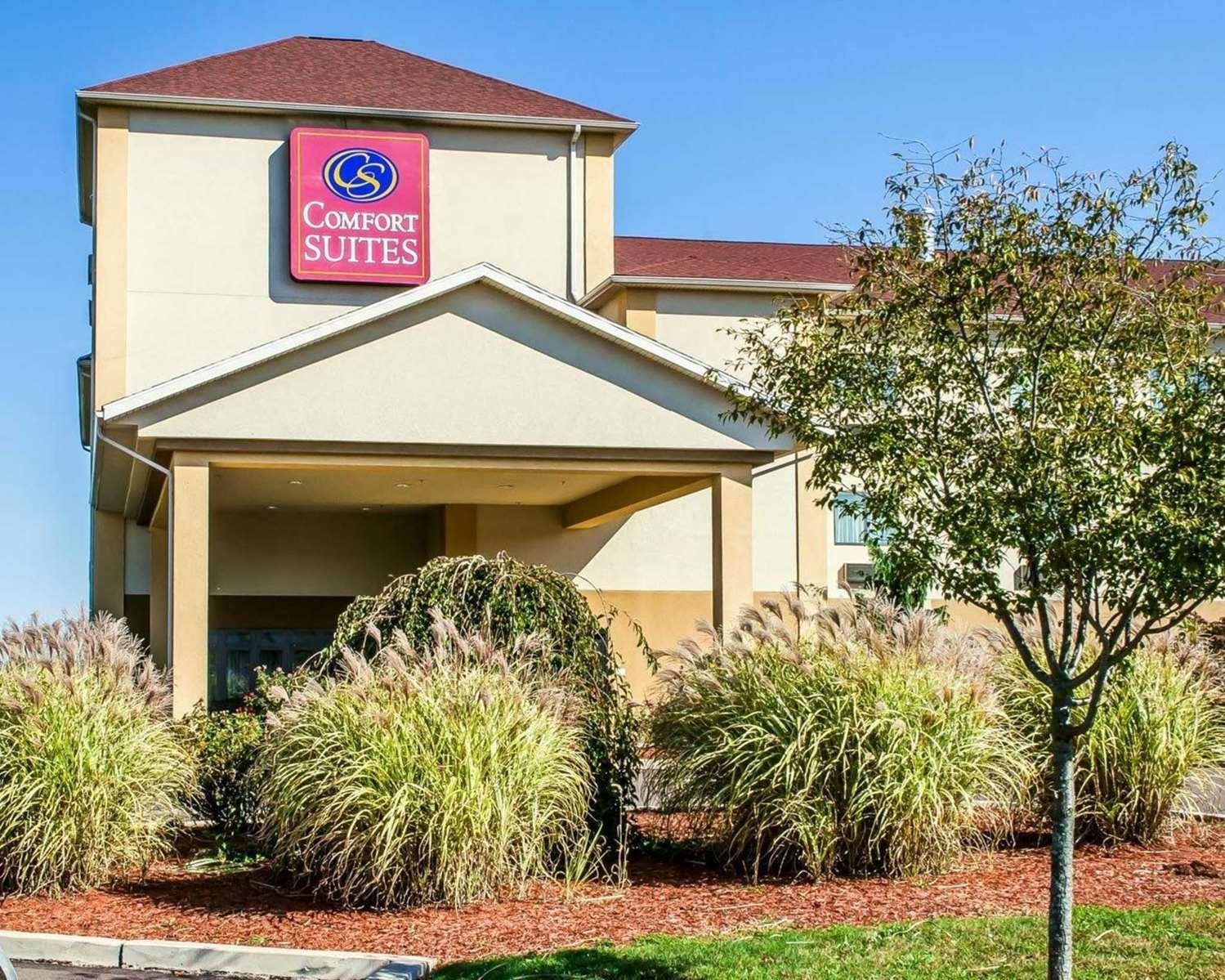 Comfort Suites-官方