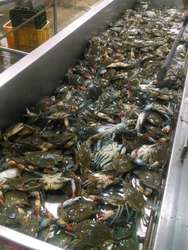 Chamblee旅游景点-Buford Highway Flea Market