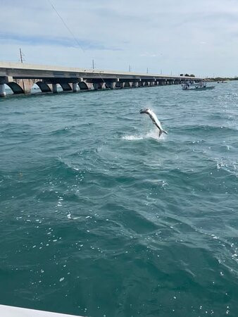 Capt. Bill Bassett Fishing-伊斯拉摩拉达必去景点