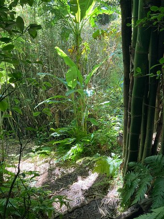 La Vallée Heureuse-Le Brule必去景点