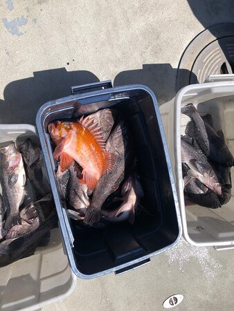 Betty Kay Charter-Charleston必去景点