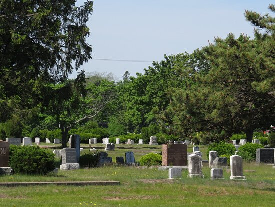 Forest City Cemetery景点图片