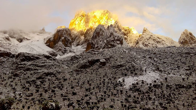 To Mount Kenya Safaris-Karen必去景点