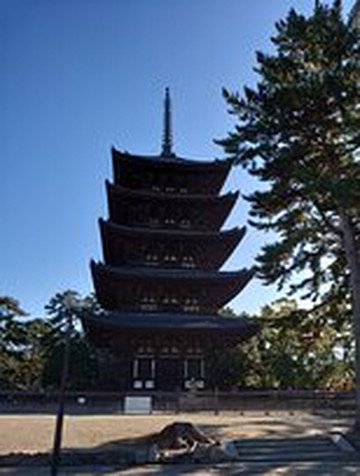 Kofuku-ji Temple 5 Stories Pagoda-奈良市必去景点