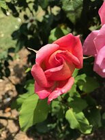 St. Laurence O'Toole Catholic Church-Leongatha必去景点