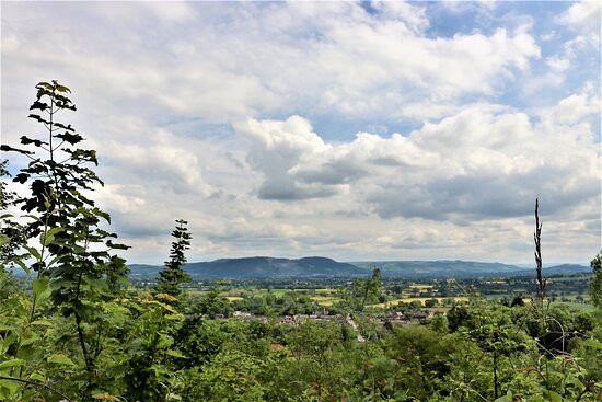 Llanymynech Rocks Nature Reserve景点图片