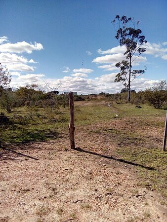 Vieja Ciudad de Federacion景点图片