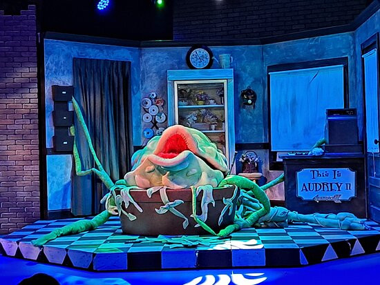 Stage Right Theatre Company景点图片