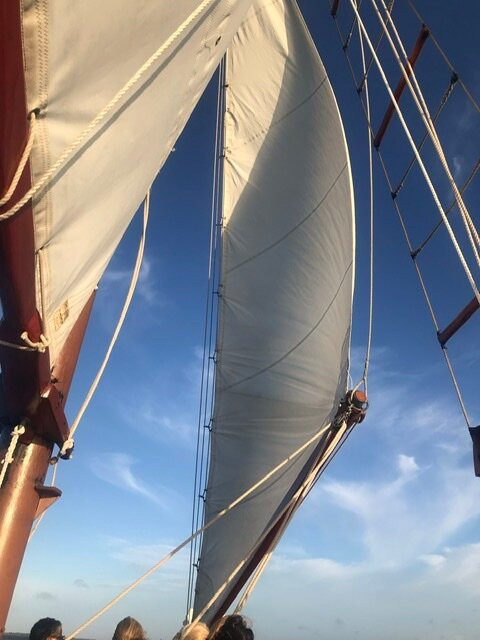 Charleston Harbor Tours-查尔斯顿必去景点