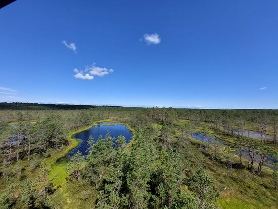 Food Sightseeing Estonia-塔林必去景点