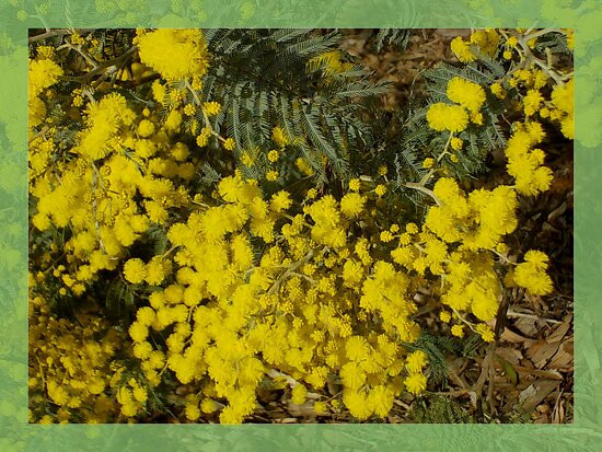 墨尔本单车道-墨尔本必去景点