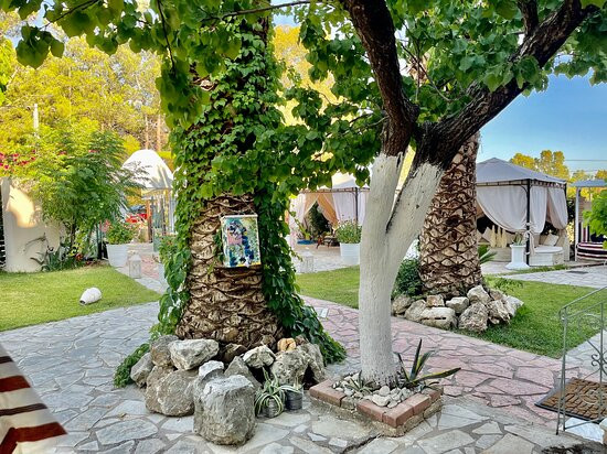 Villa Olga Apartments & Studios主图