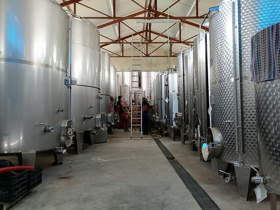 Azienda Vitivinicola PietraCava景点图片