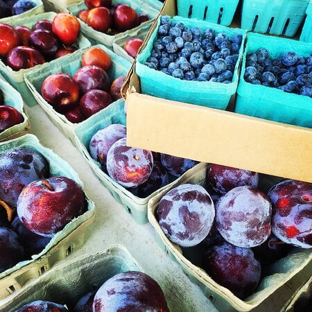 La Plata Farmers Market-La Plata必去景点