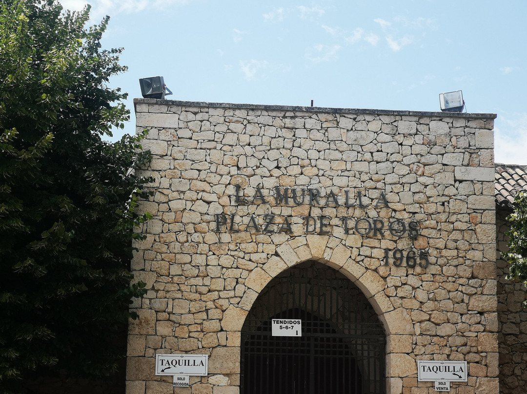 Plaza de Toros La Muralla景点图片