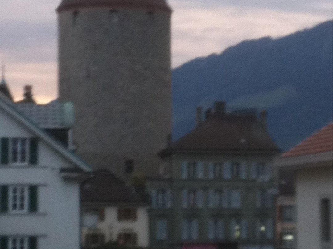 Hotel des Alpes主图