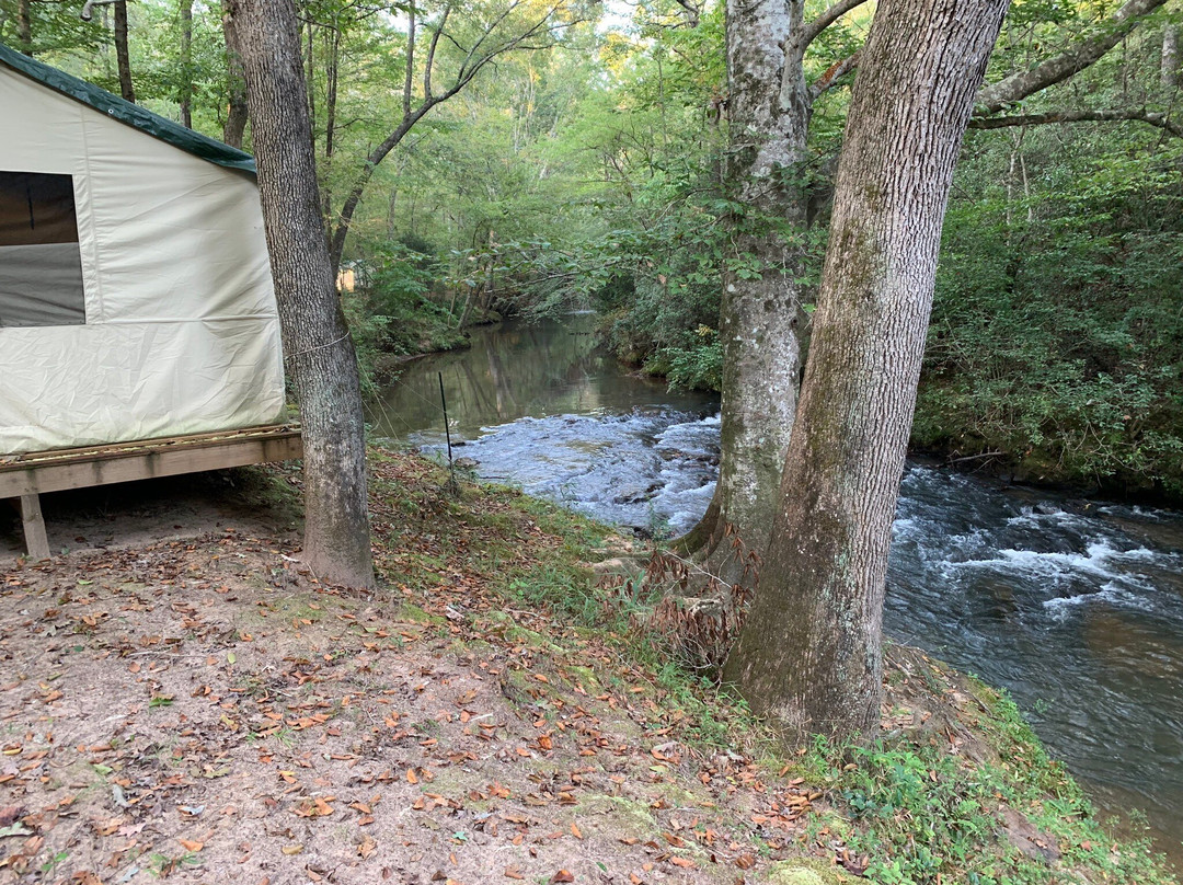 Camp Hidden Creek