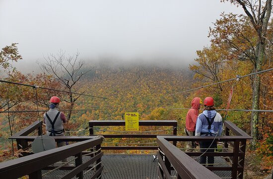 New York Zipline Adventure Tours景点图片