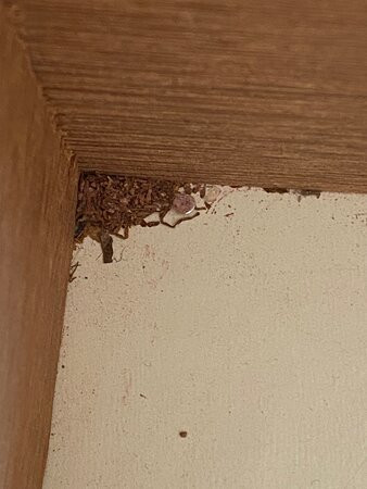 三皇后酒店主图