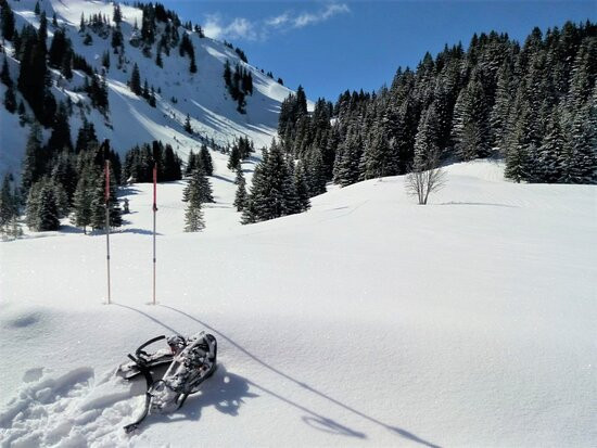 Office de Tourisme des Alpes du Leman景点图片