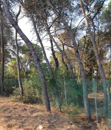 Spiaggia Termitosa-Castellaneta Marina必去景点
