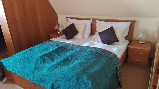 Hotel U Leva-客卧