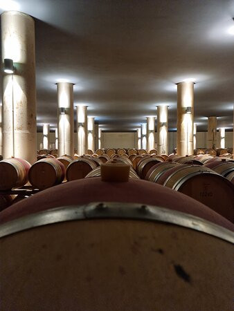 Marchesi Mazzei-Fonterutoli必去景点