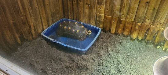 The Children's Museum-西哈特福德必去景点