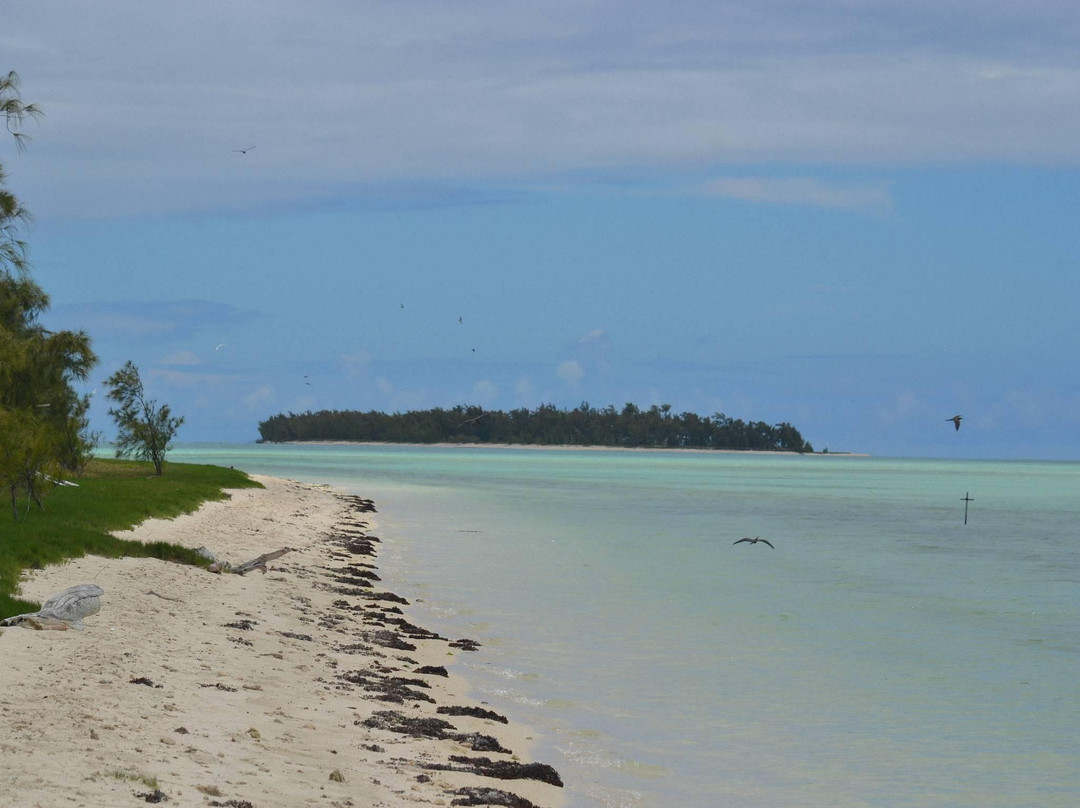 Rodrigues Kite House主图