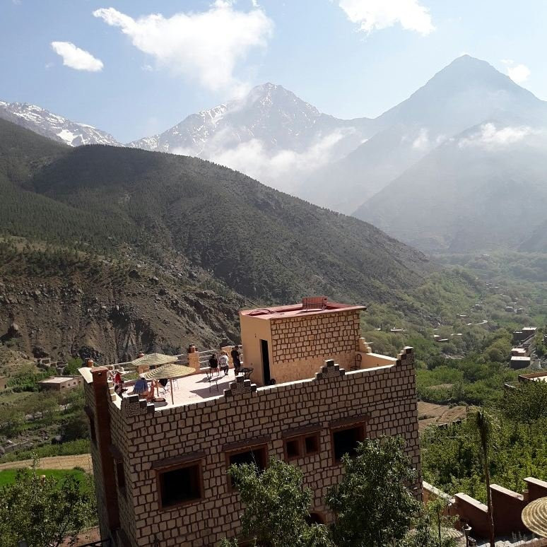 图尔比卡尔庭院生态小屋旅馆