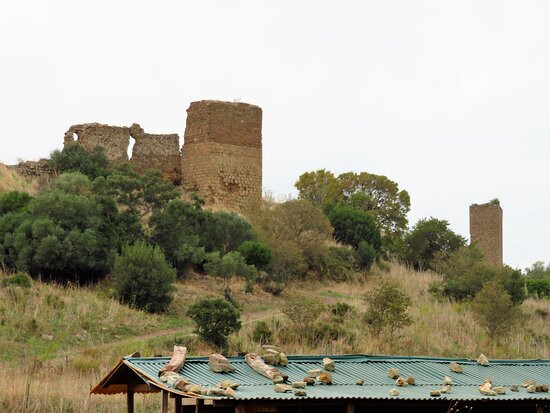 Cencelle-塔尔奎尼亚必去景点