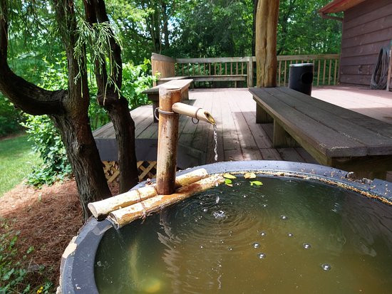 The Wells Cashiers主图