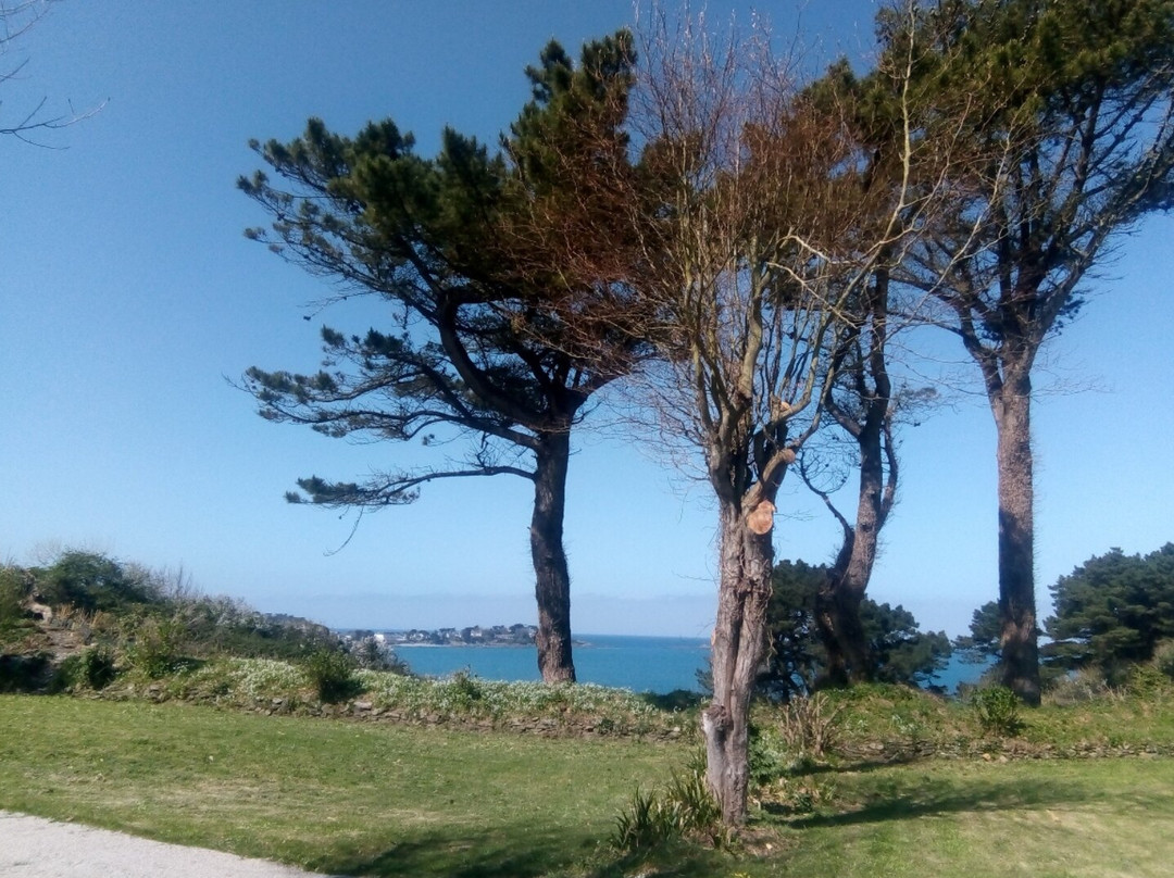 Le camping des hortensias- Aire de camping car