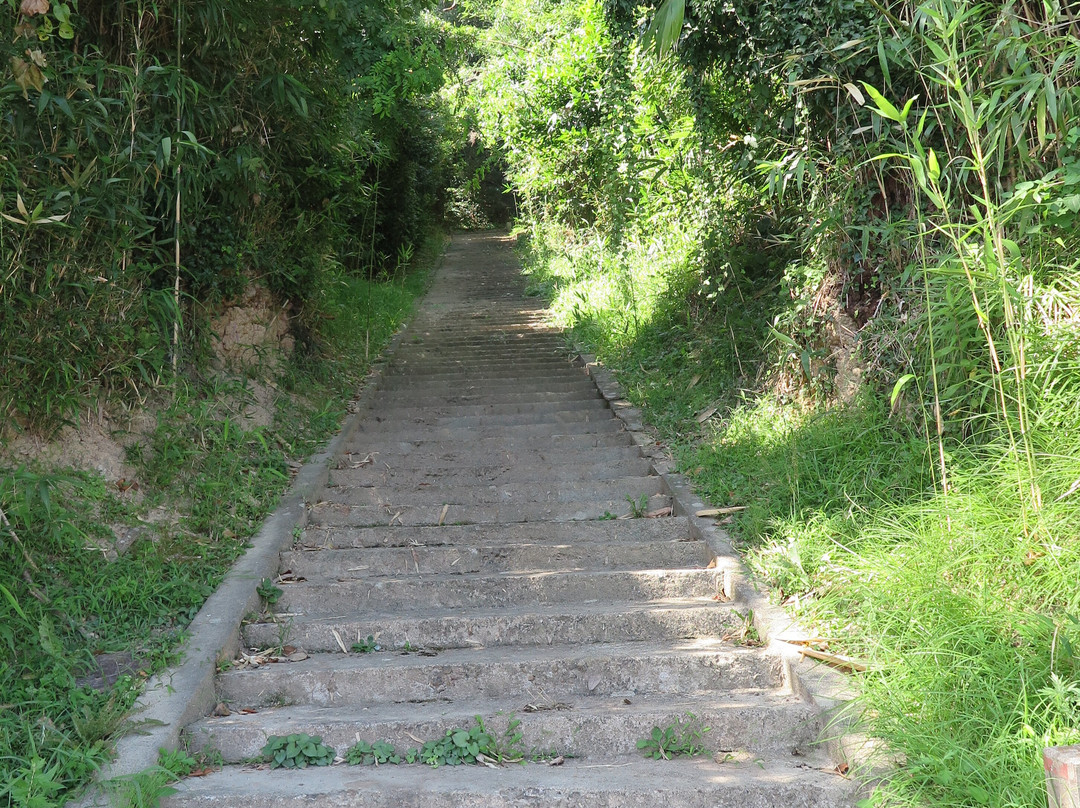 Kono Shrine-隐岐之岛町必去景点