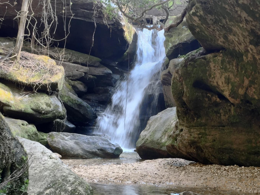 Haleyville旅游攻略图片