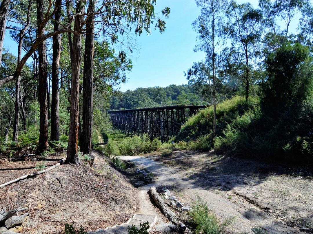 Nowa Nowa旅游攻略图片