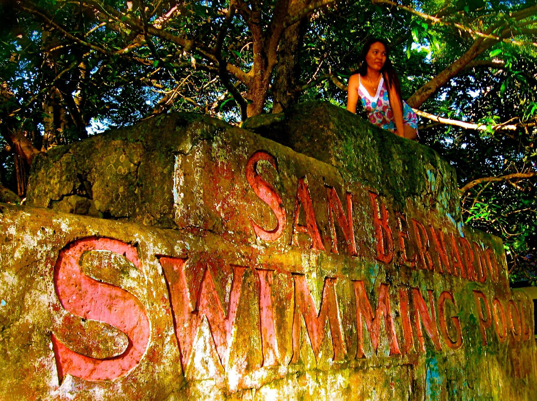 San Fernando Swimming Pool景点图片
