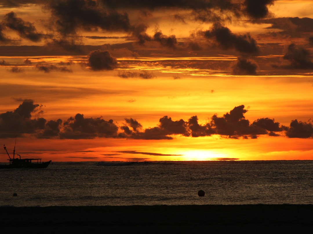 Kota Kinabatangan旅游攻略图片