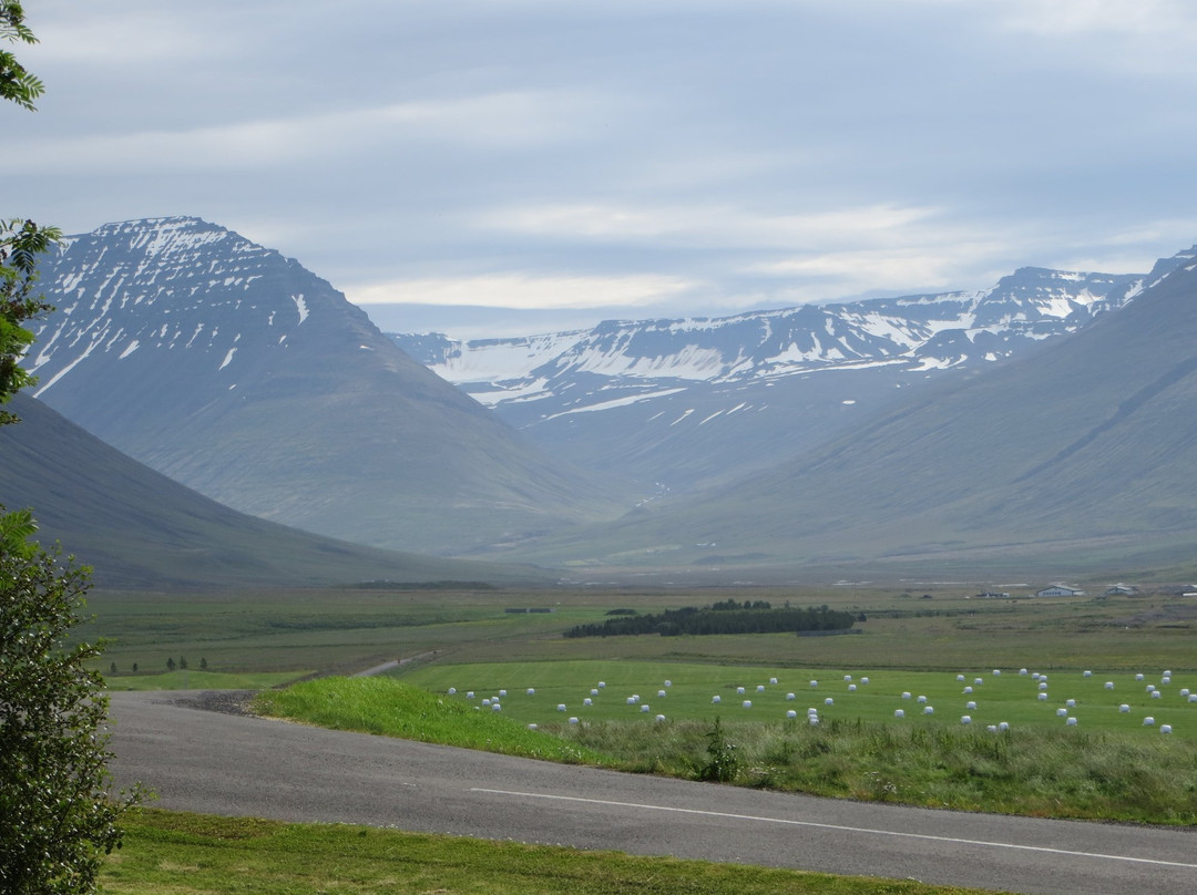 Holar旅游攻略图片