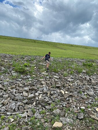 Englewood Metro Park-Vandalia必去景点