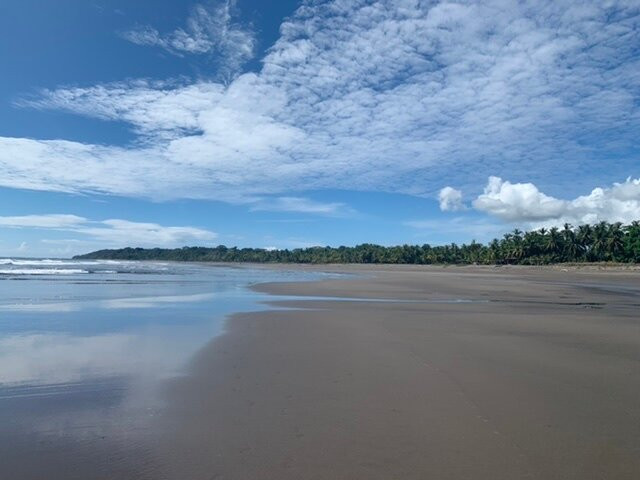 Playa Bejuco景点图片