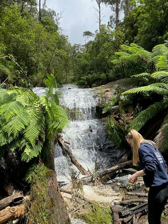 Cora Lynn Cascades Walk-洛恩必去景点